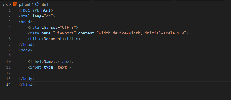 html-label-code