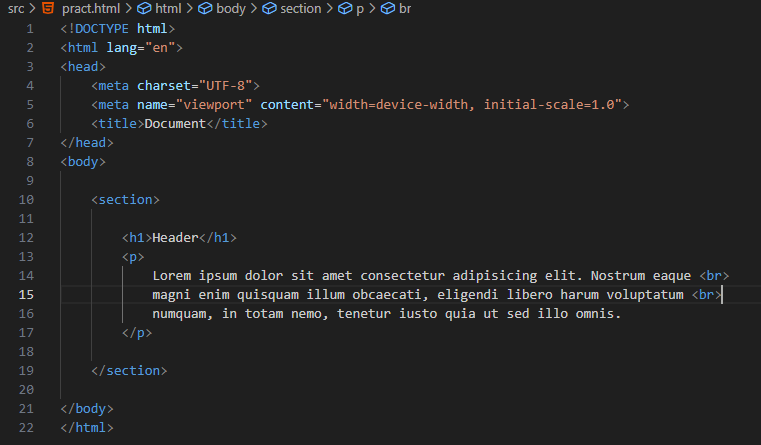 html-section-code